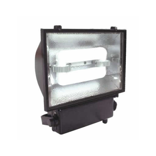 Floodlight Luminaire ST80W