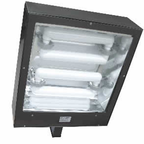 FLS FLood/Shoebox Luminaire 2ST400W